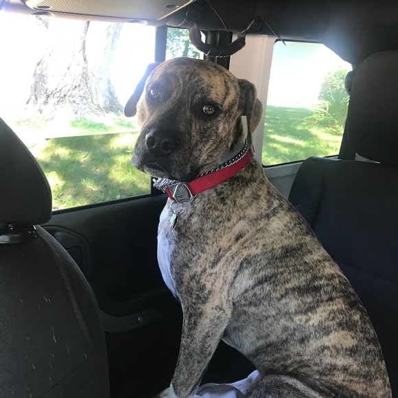 Meet your Posher, Jodi - Picture 1 of 1